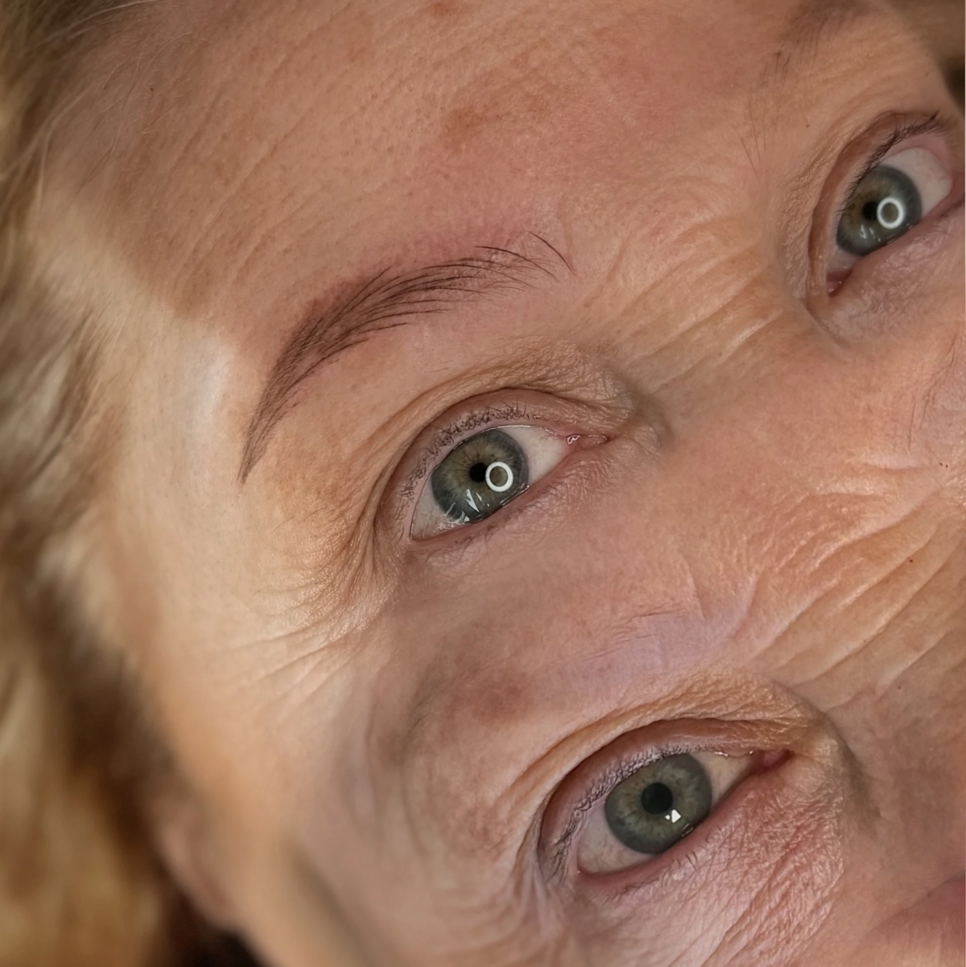 Formación micropigmentación — imagen 1