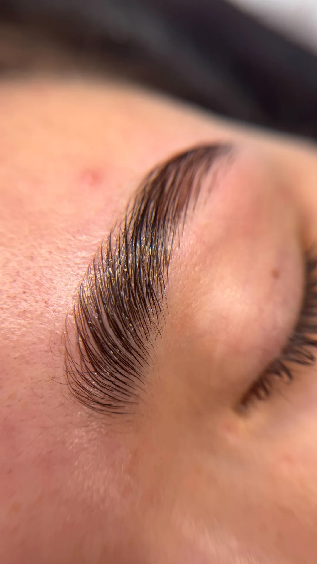 Laminado de Cejas